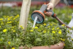 Groen Flow -Groen Flow 18315 2