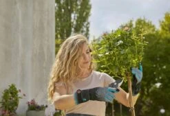 Gardena Handschoenen Rozenonder. Maat M -Groen Flow 970471601 3 GARDENA20HANDSCHOENEN20ROZENONDER.20MAAT20M