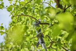 Gardena Accu-telescooptakkenschaar Solo -Groen Flow 970632601 3 Gardena20Accu Telescoop20Takkenschaar20Solo